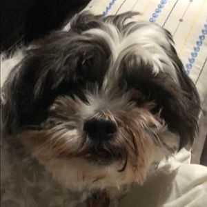 Meet your Posher, Tabitha